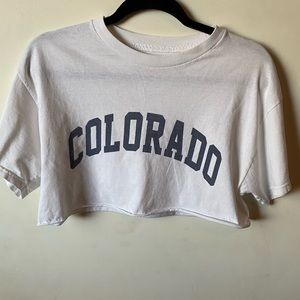 Brandy Melville Colorado Crop Top